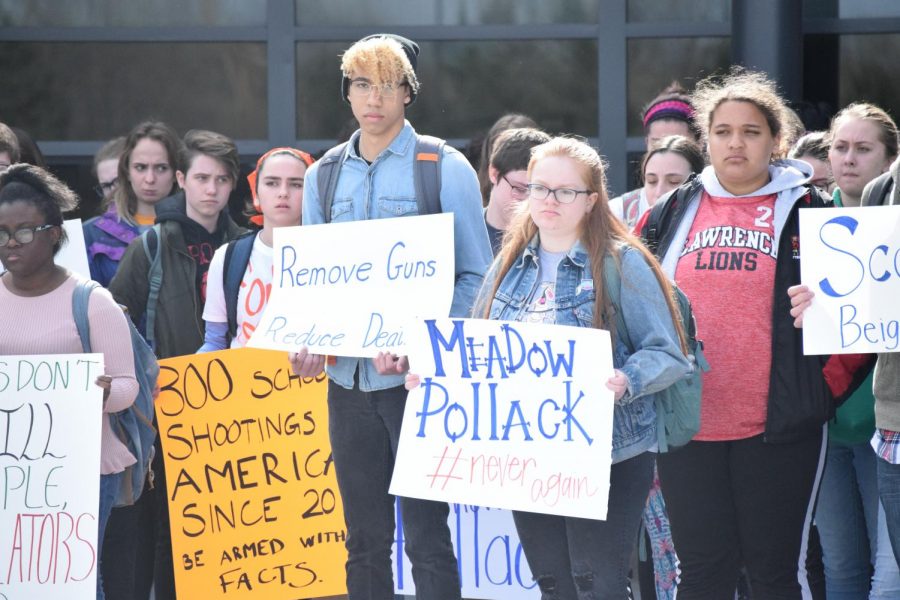 SAFER participates in national walkout