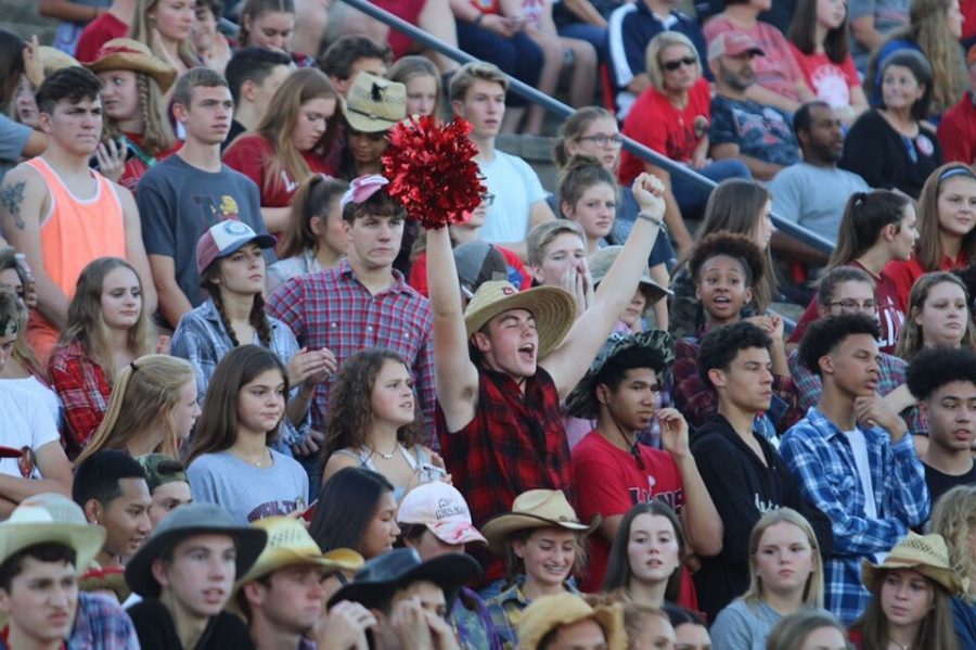 Junior Ryan Lauts cheers enthusiastically at a LHS home football game September 15th.