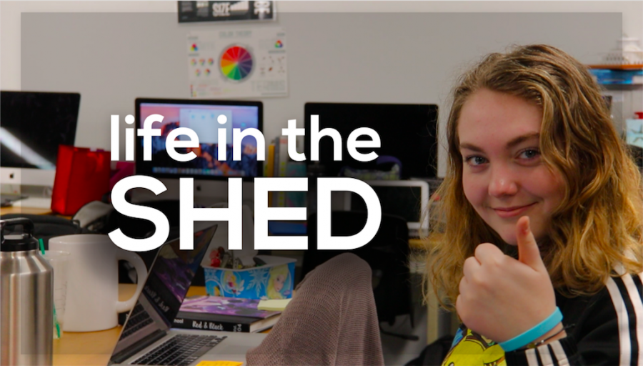 Life in the Shed: Meet the Staff