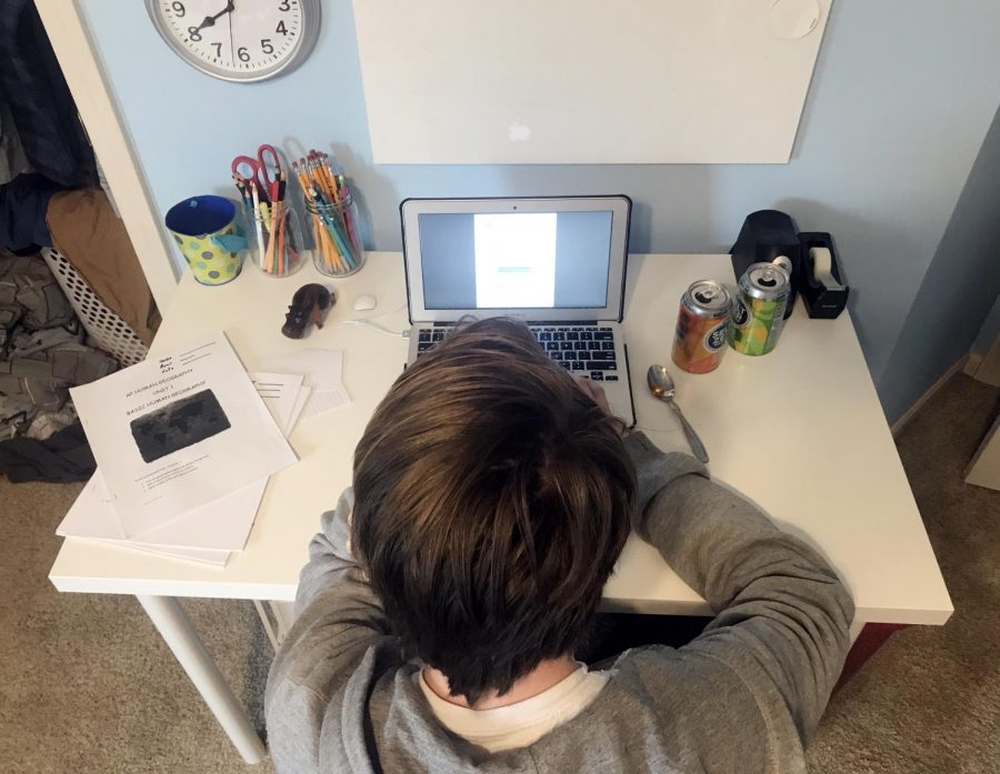 Freshman Finn Lotton-Barker learns at home as classes resume for the year. Even after students had the chance to return for in-person instruction, Lotton-Barker was among the more than 60 percent of LHS students who decided to stay home.