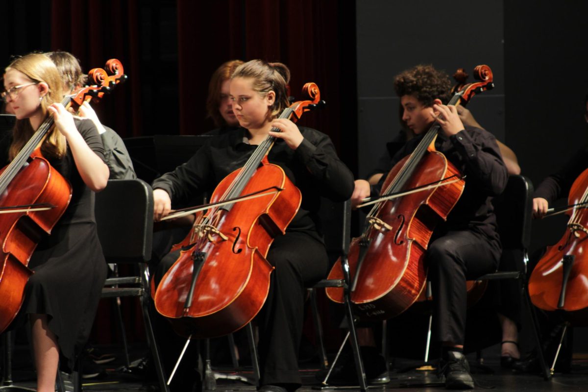 The orchestra performs at their concert about a month before the Gala
