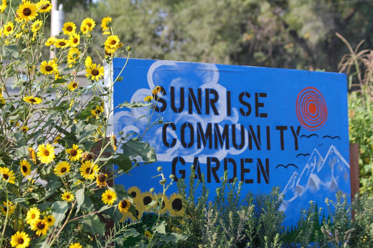 Surrounded by local Flowers, Sunrise Project distinguishes its garden space.