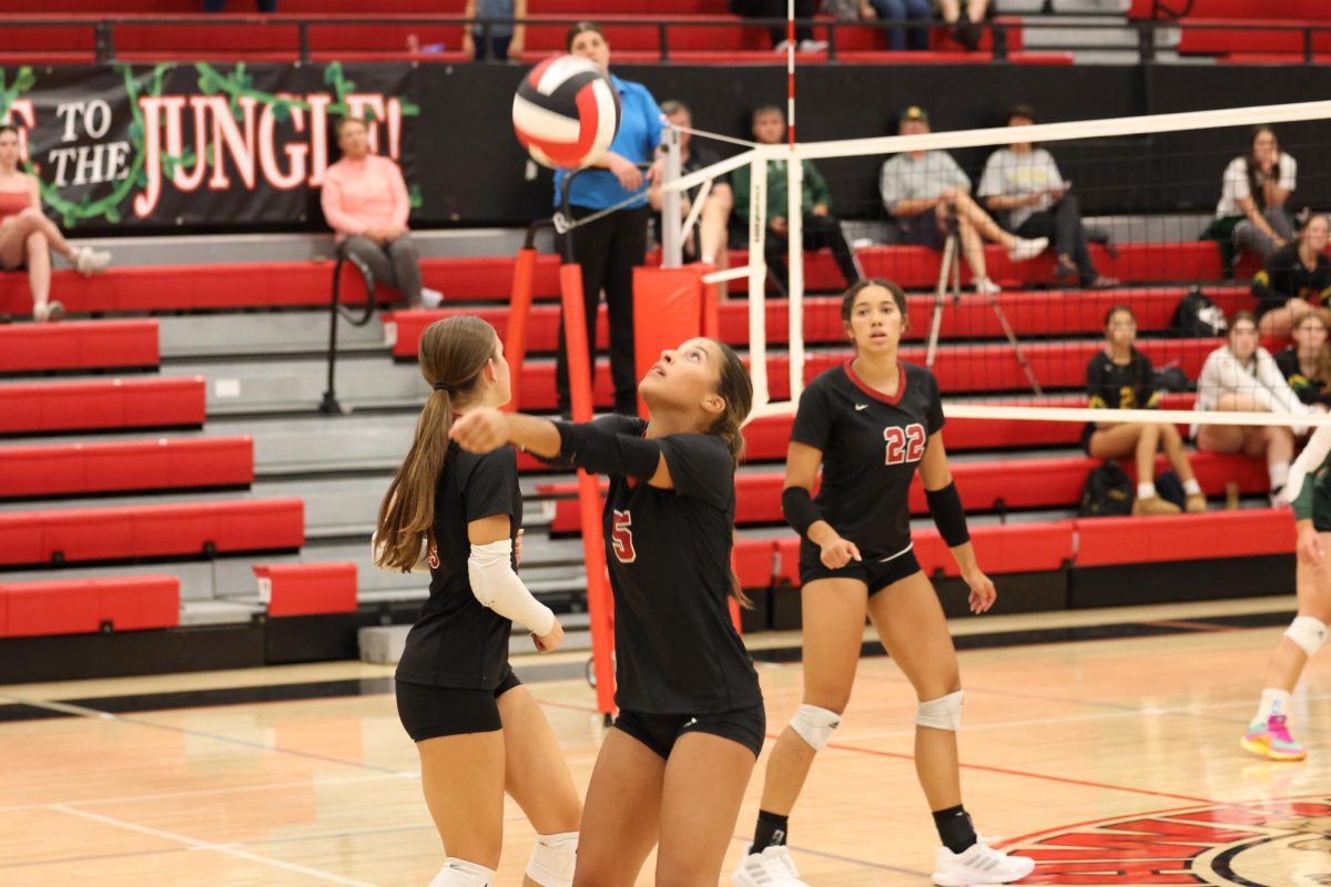 Volleyball_091024_LydiaFolks20240910_6679