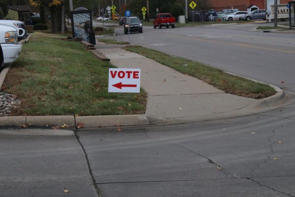 LHS seniors participate in election